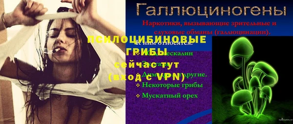 а пвп мука Алзамай